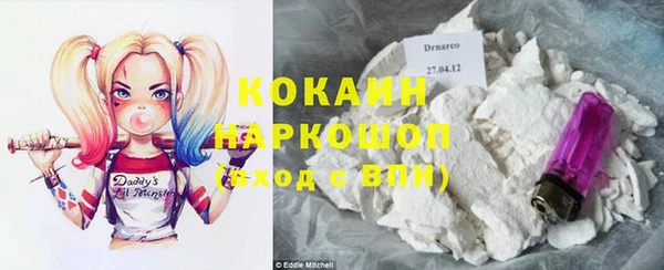 тгк Магас