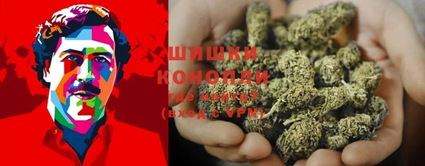 тгк Магас