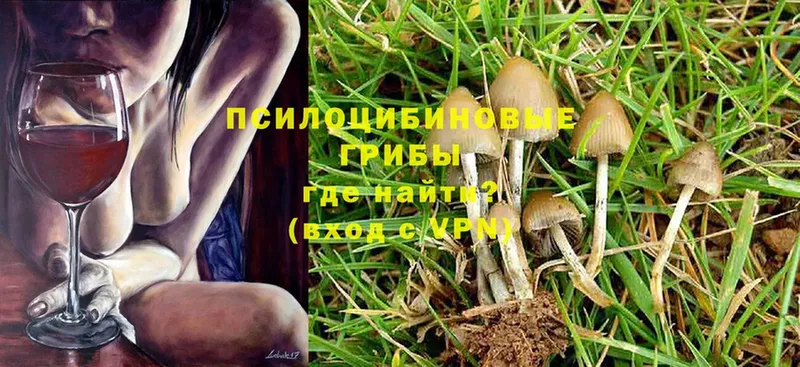 Галлюциногенные грибы Magic Shrooms  Дно 