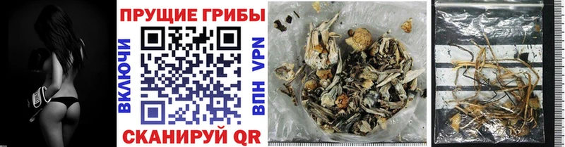 Галлюциногенные грибы мухоморы  Дно 