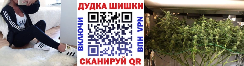 купить наркотик  Дно  Бошки Шишки планчик 